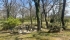 IMG_4372 (FILEminimizer).jpeg